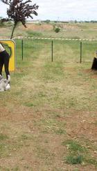 Parque_canino.jpg61239.pdf