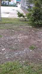 Foto del Parque