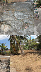 imagen.jpg84286.pdf