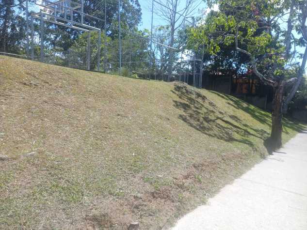 Área a construir con línea azul del recorrido de la rampa 